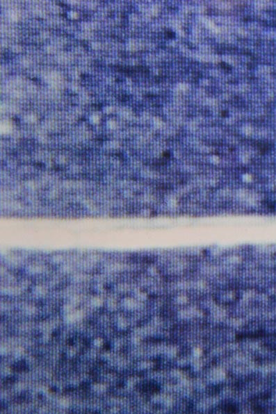 signerroman6